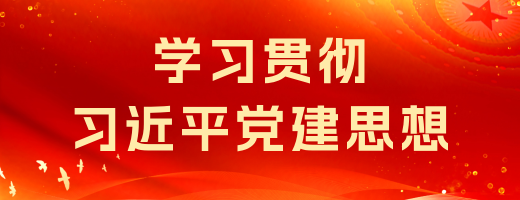 学习贯彻习近平党建思想